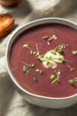 Homemade Purple Sweet Potato Soup Royalty Free Stock Photo