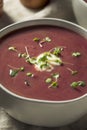 Homemade Purple Sweet Potato Soup Royalty Free Stock Photo