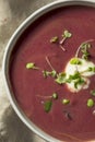 Homemade Purple Sweet Potato Soup Royalty Free Stock Photo