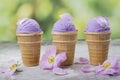 Homemade purple ube ice cream Royalty Free Stock Photo