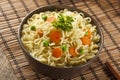 Homemade Quick Ramen Noodles