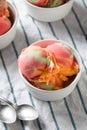 Homemade Rainbow Ice Cream Sorbet Royalty Free Stock Photo