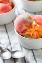 Homemade Rainbow Ice Cream Sorbet Royalty Free Stock Photo