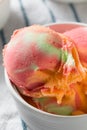 Homemade Rainbow Ice Cream Sorbet Royalty Free Stock Photo