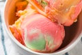 Homemade Rainbow Ice Cream Sorbet Royalty Free Stock Photo