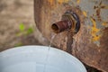 Homemade Rakija or Slivovitz plum brandy dripping into the bucket Royalty Free Stock Photo