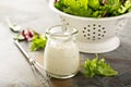 Homemade ranch dressing in a small jar Royalty Free Stock Photo