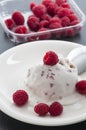 Homemade Raspberry Ice Cream