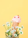 Homemade raspberry ice cream in a waffle cone with summer flowers in a glass jar on a yellow Royalty Free Stock Photo