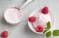 Homemade raspberry ice cream in a white cup on a light background. Stainless steel spoon for ice cream balls. Fresh raspberries Royalty Free Stock Photo