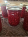 Homemade raspberry jam canned in jars Royalty Free Stock Photo