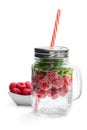 Homemade raspberry and mint drink in glass jar isolated on white Royalty Free Stock Photo