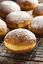 Homemade Raspberry Polish Paczki Donut Royalty Free Stock Photo
