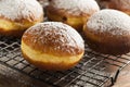 Homemade Raspberry Polish Paczki Donut Royalty Free Stock Photo