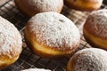 Homemade Raspberry Polish Paczki Donut Royalty Free Stock Photo
