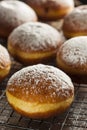 Homemade Raspberry Polish Paczki Donut Royalty Free Stock Photo