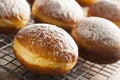 Homemade Raspberry Polish Paczki Donut Royalty Free Stock Photo