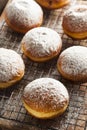 Homemade Raspberry Polish Paczki Donut Royalty Free Stock Photo