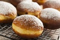 Homemade Raspberry Polish Paczki Donut Royalty Free Stock Photo