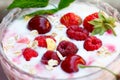 Homemade Raspberry yogurt