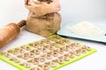 Homemade raw farfalle pasta on cutting board, rolling pin, craftpaper bag of flour and kitchen scale. Pasta of whole grain flour