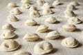 Homemade raw tortellini on white wooden surface Royalty Free Stock Photo