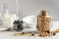 Homemade Ready breakfast granola, muesli with a fresh ripe blueberry and milk. Close-up, useful product, background