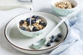 Homemade Ready breakfast granola, muesli with fresh ripe blueberry, white chocolate and milk. Close-up, useful product, background