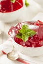 Homemade Red Cherry Gelatin Dessert Royalty Free Stock Photo