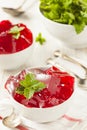 Homemade Red Cherry Gelatin Dessert Royalty Free Stock Photo