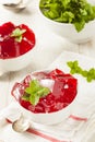 Homemade Red Cherry Gelatin Dessert Royalty Free Stock Photo