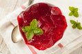 Homemade Red Cherry Gelatin Dessert Royalty Free Stock Photo