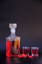 Homemade red currant liqueur, in a glass bottle and two glasses, next to a branch of fresh berries on a black background Royalty Free Stock Photo