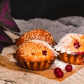 Homemade red currant muffins with sesame seeds sprinkled with icing sugar. Closeup. Copy space Royalty Free Stock Photo