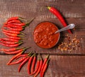 Homemade red Harissa Paste, chili pepper spices and fresh red chilli peppers Royalty Free Stock Photo