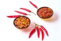 Homemade red Harissa Paste, chili pepper spices and fresh red chilli peppers Royalty Free Stock Photo