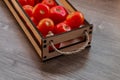 Homemade red tomatoes in a wooden box on a dark wooden background, textiles, knife, cutting Board and sliced tomato Royalty Free Stock Photo