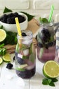 Homemade refreshing citrus lemonade mojito blackberry with ingredients for making