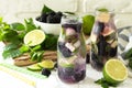 Homemade refreshing citrus lemonade mojito blackberry with ingredients for making