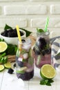 Homemade refreshing citrus lemonade mojito blackberry with ingredients for making