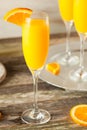 Homemade Refreshing Orange Mimosa Cocktails Royalty Free Stock Photo