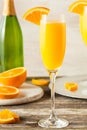 Homemade Refreshing Orange Mimosa Cocktails Royalty Free Stock Photo