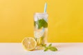Homemade refreshing summer lemonade drink with lemon slices, mint and ice cubes, glasses with drinking straw isolated over yellow