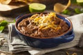 Homemade Refried Pinto Beans Royalty Free Stock Photo