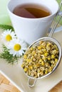 Homemade remedy - herbal camomile tea matricaria chamomilla - Royalty Free Stock Photo