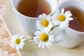 Homemade remedy - herbal camomile tea matricaria chamomilla -