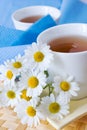 Homemade remedy - herbal camomile tea matricaria chamomilla -