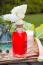 Homemade rhubarb syrup  Rheum rhabarbarum . Royalty Free Stock Photo