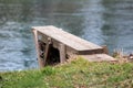 Homemade river diving board made from planks