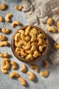 Homemade Roasted Salted Cashews Royalty Free Stock Photo